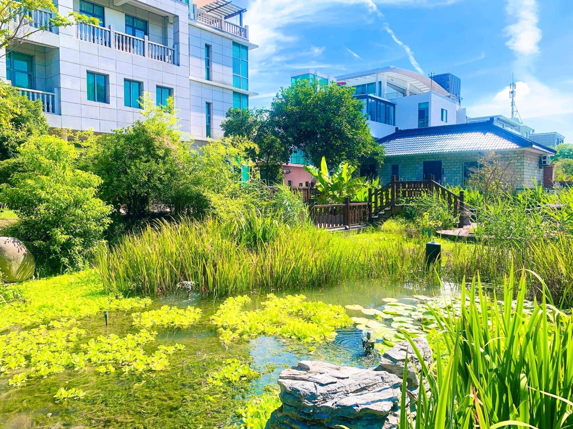 Shushe Hotel 上海市 エクステリア 写真